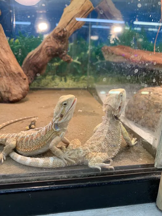 Pet Shop Picture 1