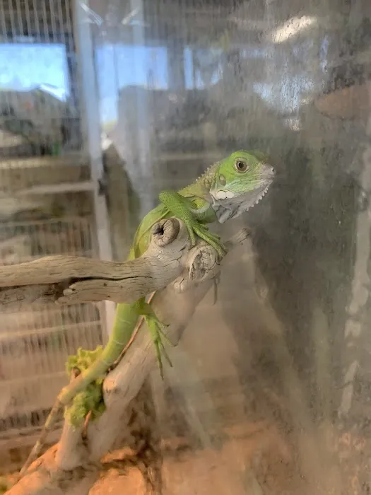 Pet Shop Picture 5