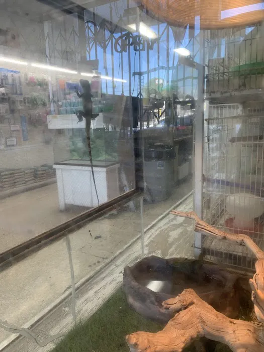 Pet Shop Picture 6