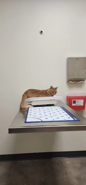 Vetco Total Care Animal Hospital Picture 3