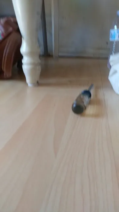 Little Island Pet Store Picture 1