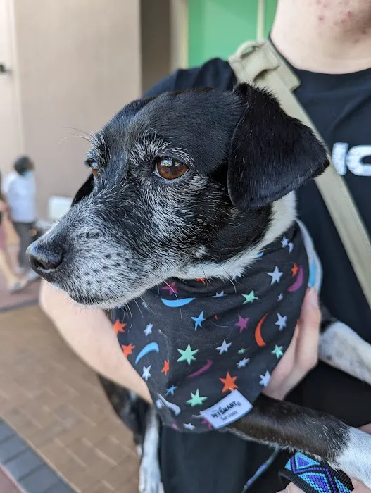 Banfield Pet Hospital Picture 7