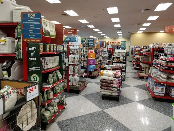 Petco Picture 4