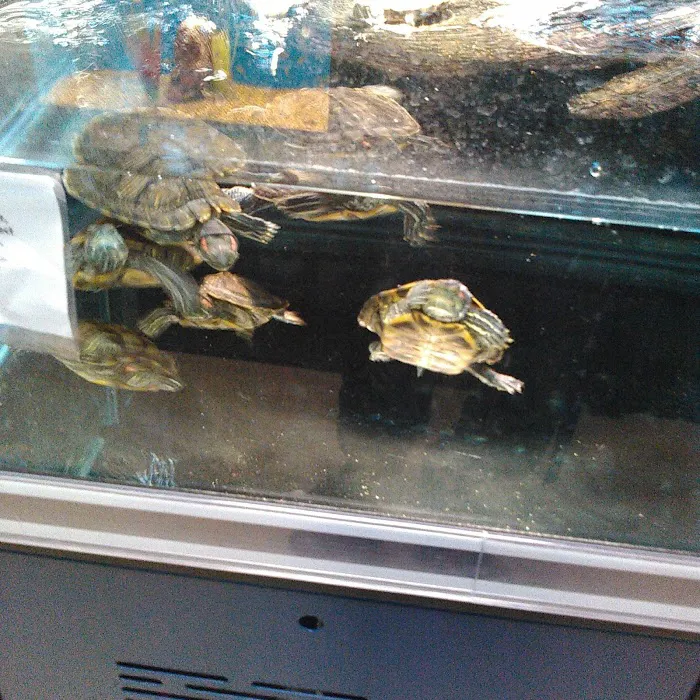Petco Picture 5