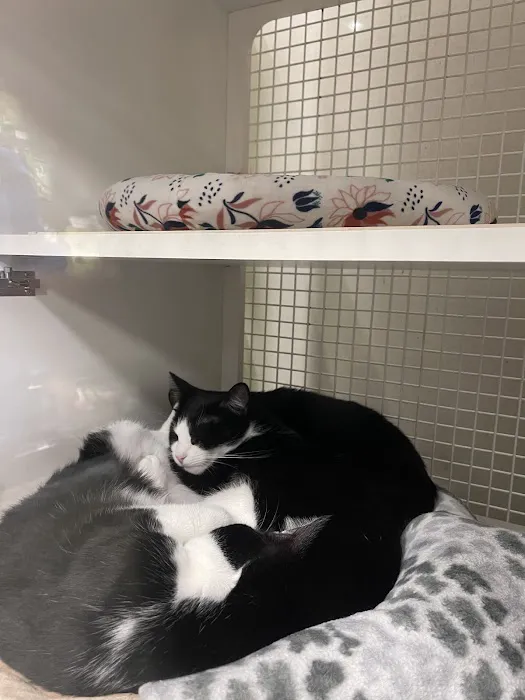 Petco Picture 2