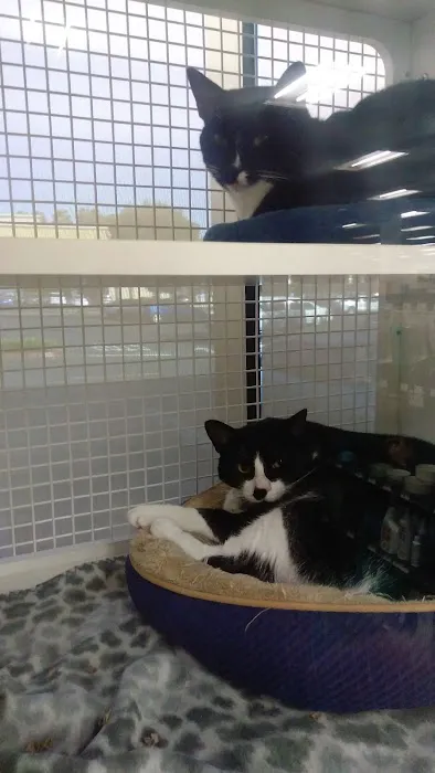 Petco Picture 10
