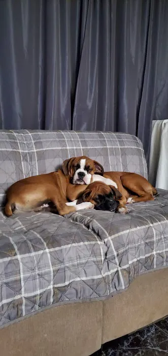 Petco Picture 7