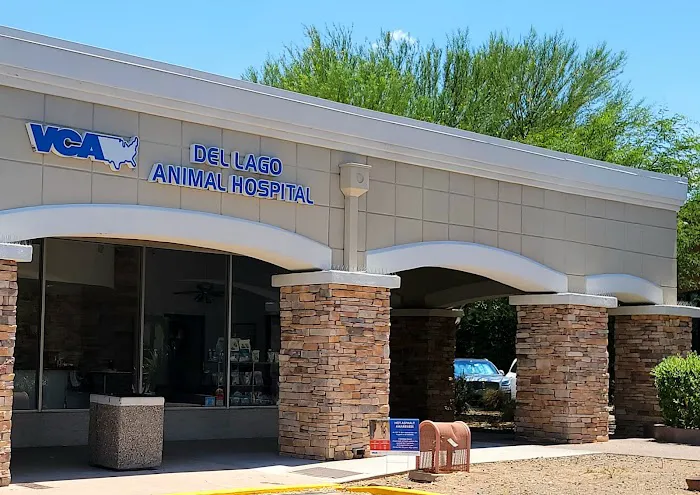 VCA Del Lago Animal Hospital Picture 1