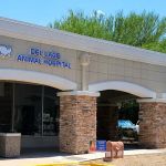 VCA Del Lago Animal Hospital