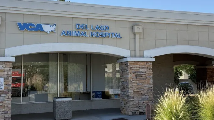 VCA Del Lago Animal Hospital Picture 10