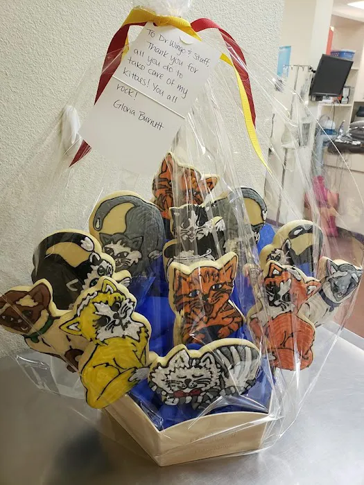 Arizona Veterinary Dental Specialists - Scottsdale Picture 2