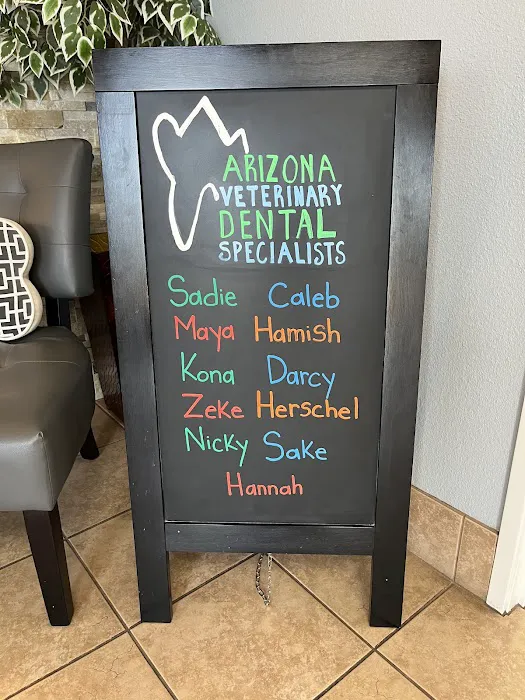 Arizona Veterinary Dental Specialists - Scottsdale Picture 4