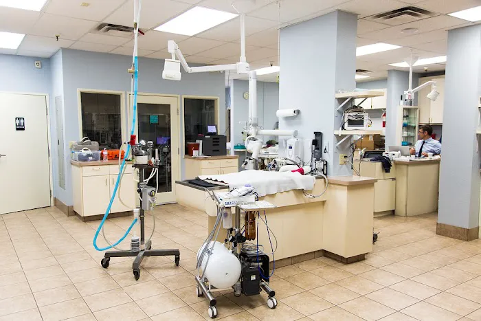 Arizona Veterinary Dental Specialists - Scottsdale Picture 8