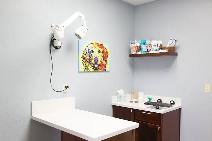 Arizona Veterinary Dental Specialists - Scottsdale Picture 7