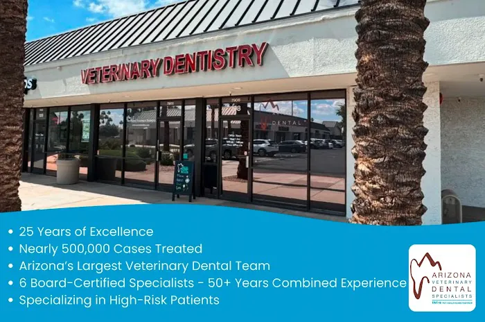 Arizona Veterinary Dental Specialists - Scottsdale Picture 10
