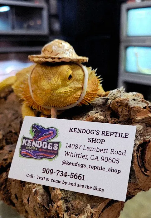 Kendog's Reptile Shop Picture 2