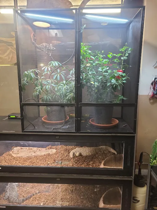 Kendog's Reptile Shop Picture 5