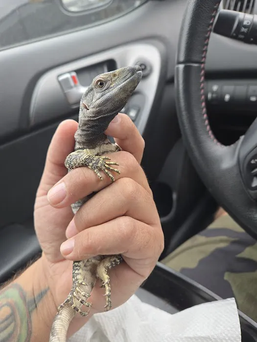 Kendog's Reptile Shop Picture 6