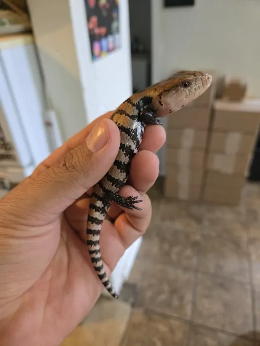 Kendog's Reptile Shop Picture 7
