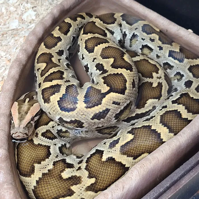 Kendog's Reptile Shop Picture 9