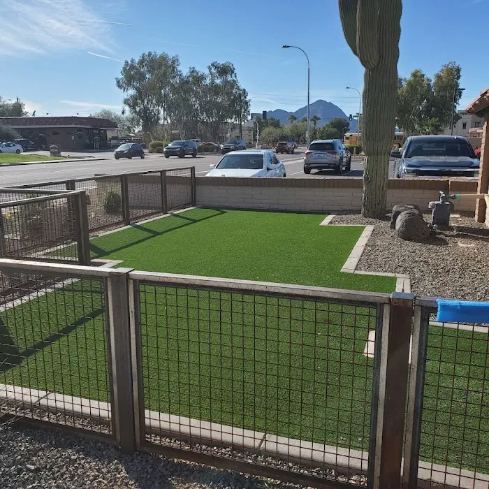 Saguaro Veterinary Clinic Picture 9