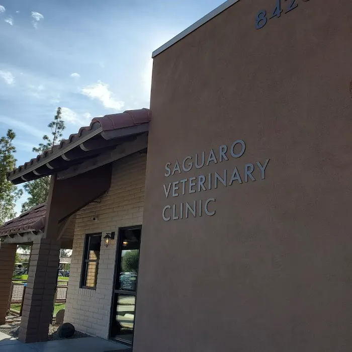 Saguaro Veterinary Clinic Picture 10
