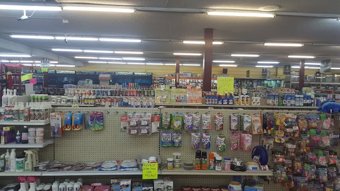 Pet City Picture 2