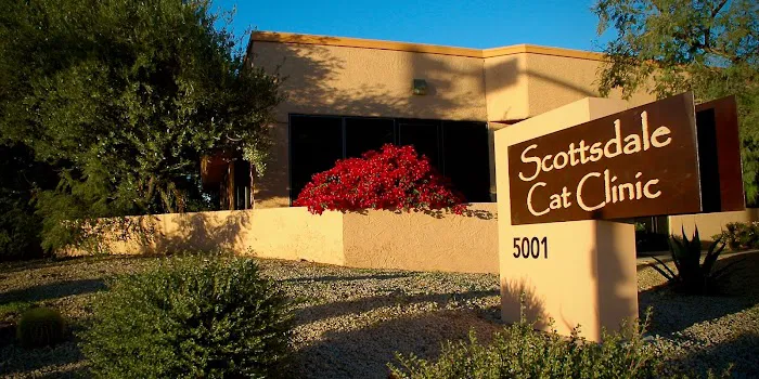 Scottsdale Cat Clinic Picture 3