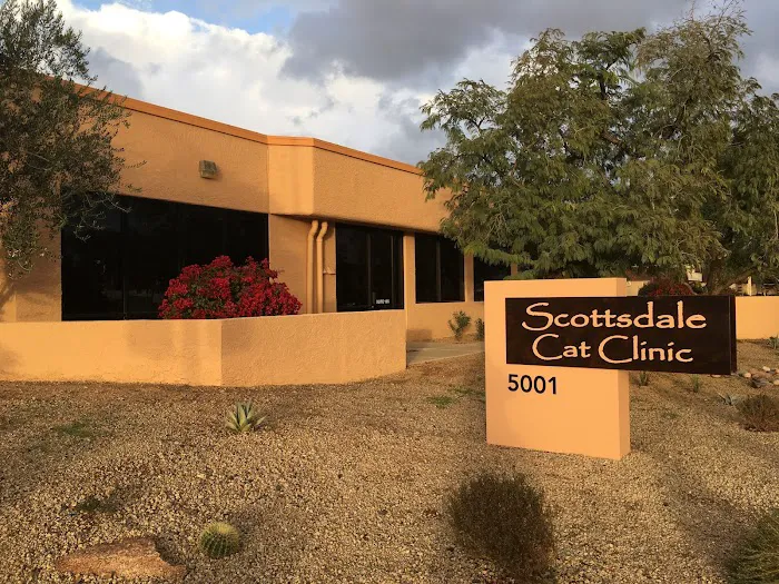 Scottsdale Cat Clinic Picture 8