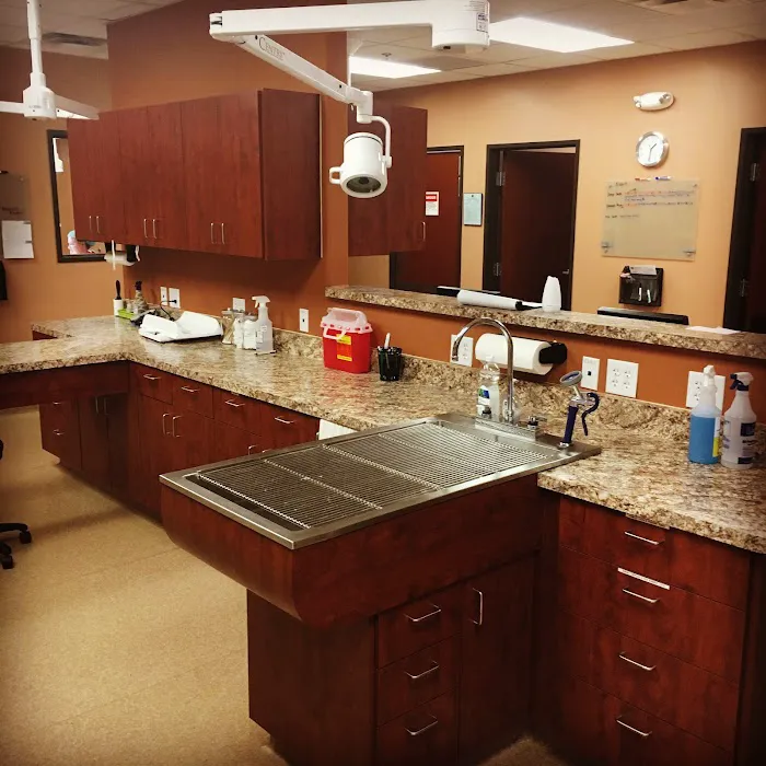 Scottsdale Cat Clinic Picture 10