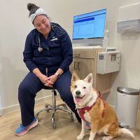 Petfolk Veterinary & Urgent Care - Scottsdale ico