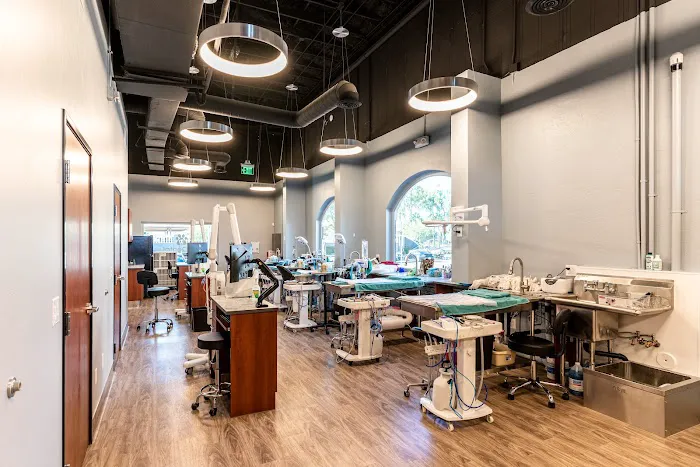 Pet Dental USA Picture 7