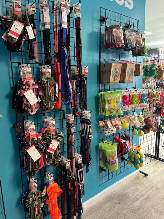 Paws Pet Food Picture 10