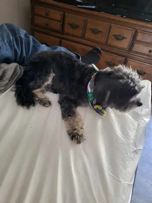 Valley Pet & Supply (+Grooming) Picture 1
