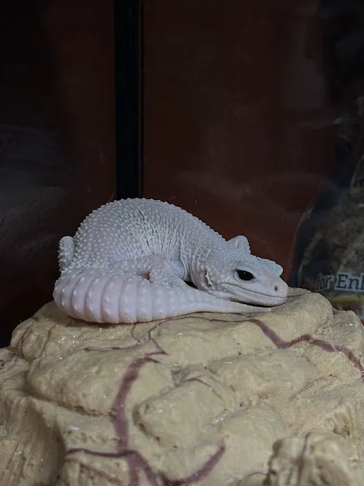 Valley Pet & Supply (+Grooming) Picture 6