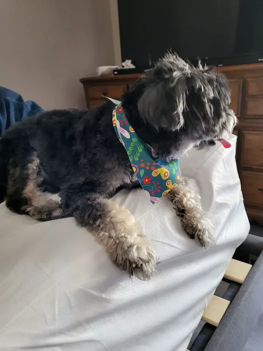 Valley Pet & Supply (+Grooming) Picture 4