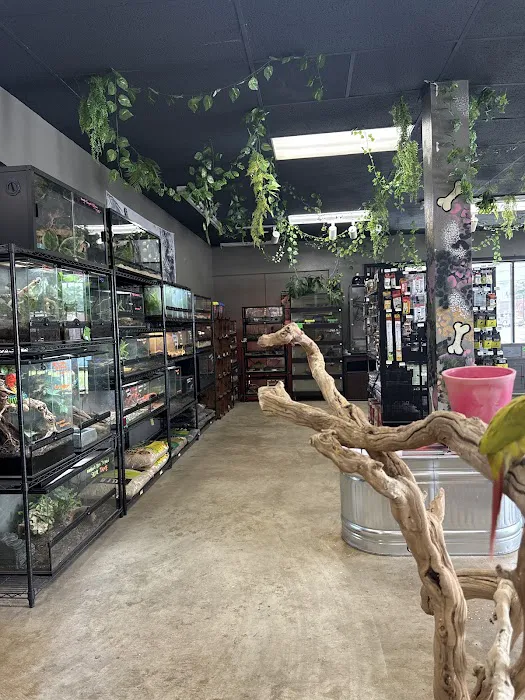 Valley Pet & Supply (+Grooming) Picture 9