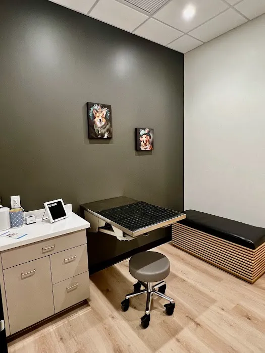 LUXE.VET Picture 9