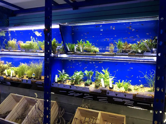 Underwater Depot Picture 2