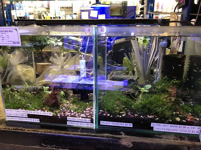 Underwater Depot Picture 4