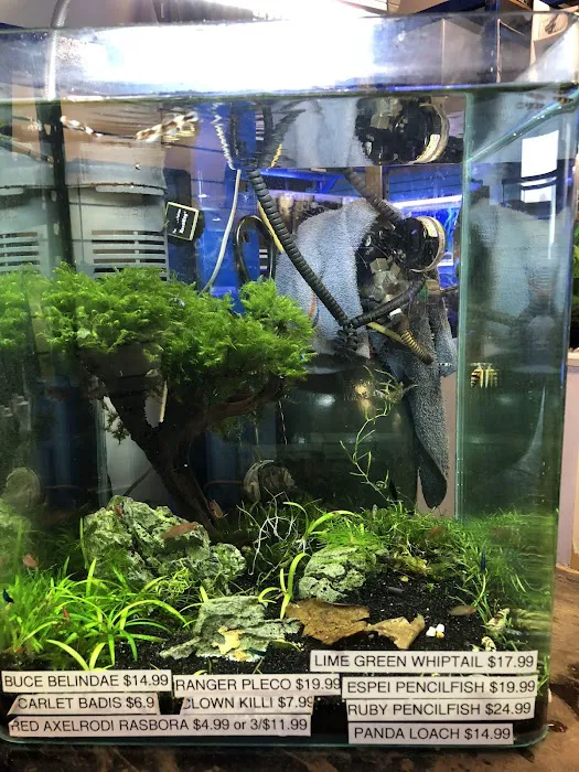 Underwater Depot Picture 6