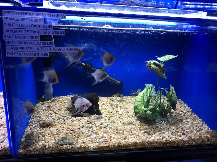 Underwater Depot Picture 8