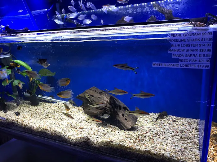 Underwater Depot Picture 7