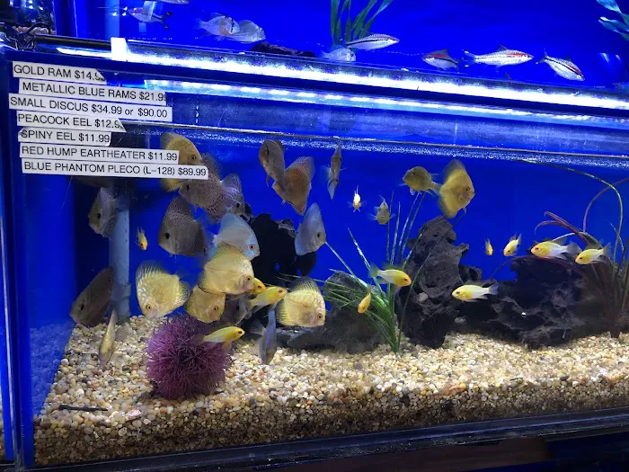 Underwater Depot Picture 9