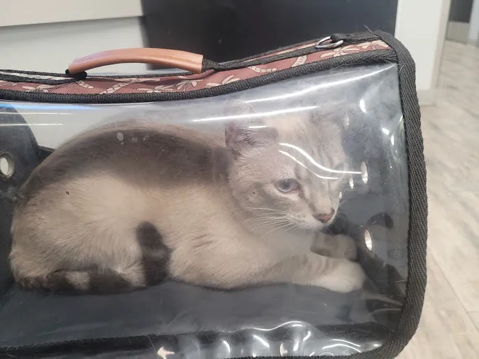Phoenix Veterinary Referral & Emergency Center Picture 3