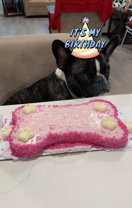 Layla's Dog Bakery Picture 7