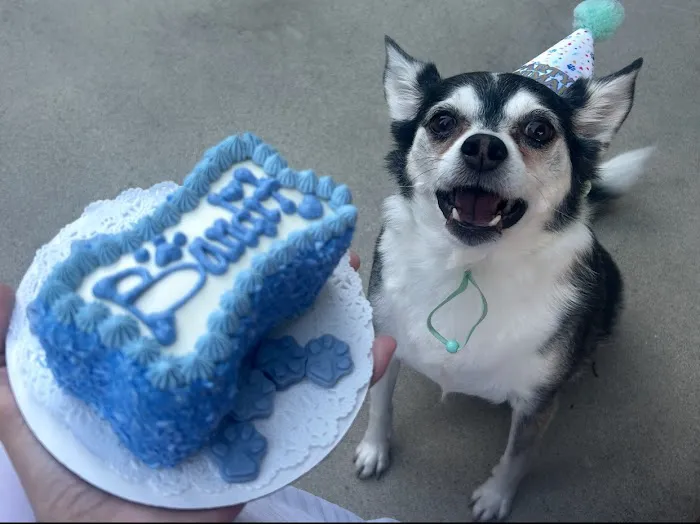 Layla's Dog Bakery Picture 8