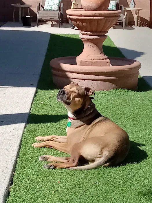 Banfield Pet Hospital Picture 4