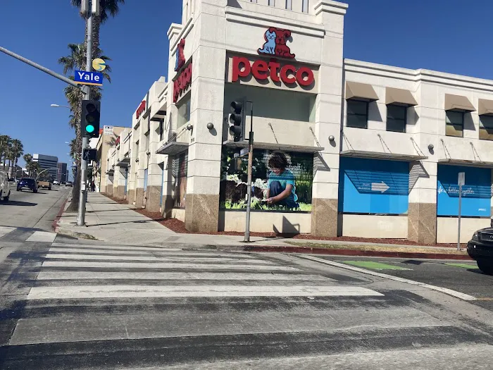 Petco Picture 1