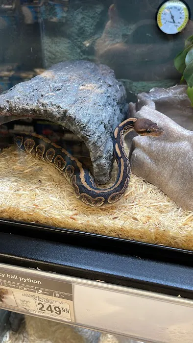 Petco Picture 9